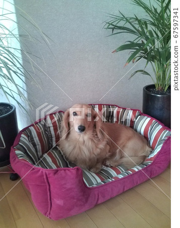 Answering machine Answering machine 67597341