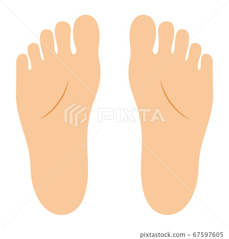 Vector illustration of sole (without main line) Vector illustration of sole (without main line) 67597605