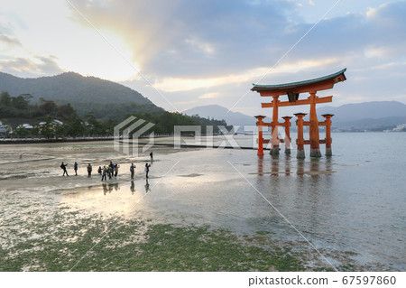 廣島縣秋季廿日市市秋之宮島大鳥居嚴島神社 廣島縣秋季廿日市市秋之宮島大鳥居嚴島神社 67597860