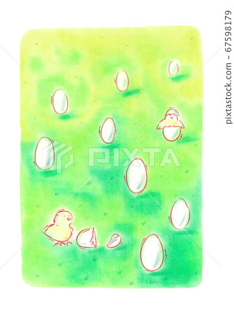 A lot of eggs on the lawn are hatching 1 or 2 chicks A lot of eggs on the lawn are hatching 1 or 2 chicks 67598179