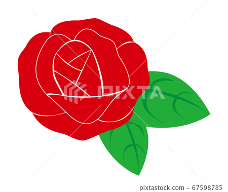 紅玫瑰花朵矢量圖 67598785