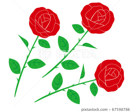 紅玫瑰花朵矢量圖 紅玫瑰花朵矢量圖 67598786