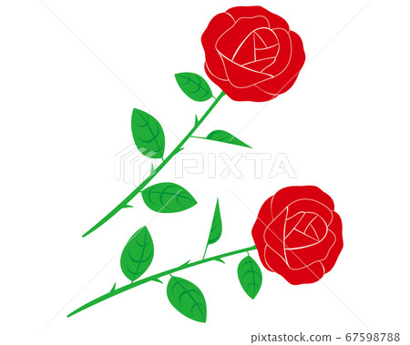 紅玫瑰花朵矢量圖 67598788