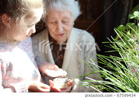 Midsection of care aid giving medicines to resident in nursing home Midsection of care aid giving medicines to resident in nursing home 67599434