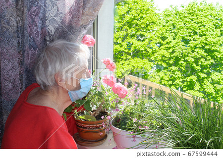 The Covid-19, health, safety and pandemic concept - senior old lonely woman sitting near the window The Covid-19, health, safety and pandemic concept - senior old lonely woman sitting near the window 67599444