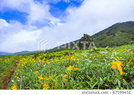 Notan Plateau flower garden Notan Plateau flower garden 67599456