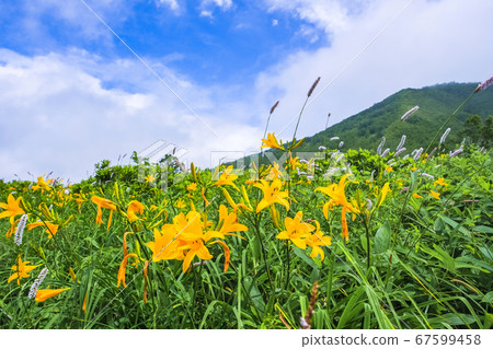 Nozori Kisuge and Hachiyama 67599458