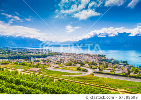 City of Vevey at Lake Geneva with vineyards in summer, Switzerland City of Vevey at Lake Geneva with vineyards in summer, Switzerland 67599699