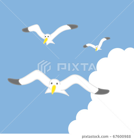 Irudo cloud and seagull Irudo cloud and seagull 67600988