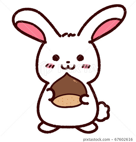可愛的兔子性格與栗子 67602616