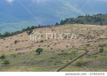 宜人的山路 宜人的山路 67602659