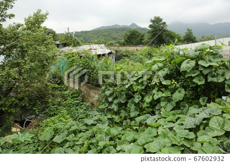 Seongbuk-gu. Jeongneung-dong. Green Seongbuk-gu. Jeongneung-dong. Green 67602932