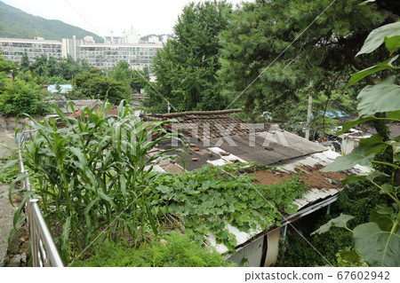 Seongbuk-gu. Jeongneung-dong. Green Seongbuk-gu. Jeongneung-dong. Green 67602942