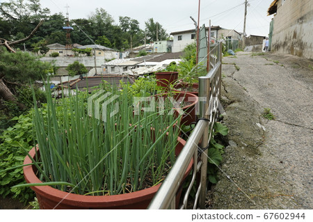 Seongbuk-gu. Jeongneung-dong. Green Seongbuk-gu. Jeongneung-dong. Green 67602944