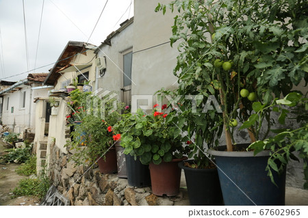 Seongbuk-gu. Jeongneung-dong. Green Seongbuk-gu. Jeongneung-dong. Green 67602965