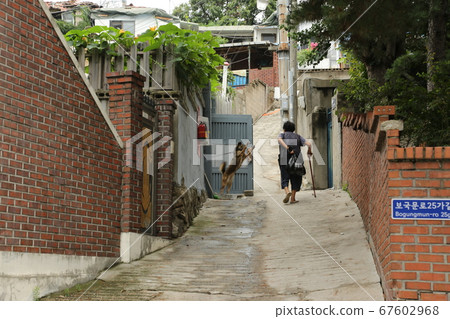 Seongbuk-gu. Jeongneung-dong. Green Seongbuk-gu. Jeongneung-dong. Green 67602968