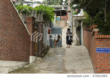 Seongbuk-gu. Jeongneung-dong. Green Seongbuk-gu. Jeongneung-dong. Green 67602969
