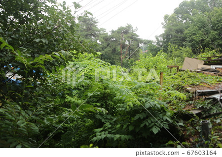 Seongbuk-gu, Jeongneung-dong, Alleyway 67603164