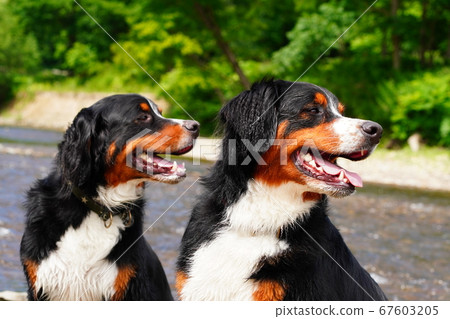 嗯?什麼? 嗯?什麼? 67603205