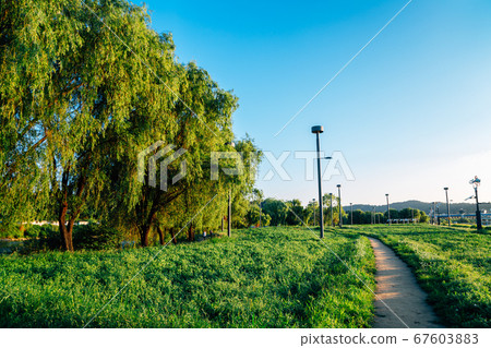 Banpo Hangang Park Seorae Island at summer in Seoul, Korea 67603883