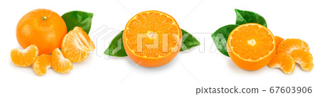 tangerine or mandarin fruit with leaves isolated on white background. Set or collection tangerine or mandarin fruit with leaves isolated on white background. Set or collection 67603906