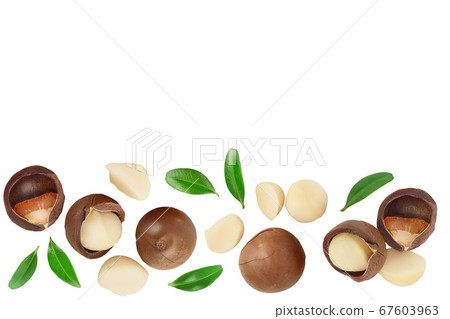 macadamia nuts isolated on white background. Top view with copy space for your text.. Flat lay. macadamia nuts isolated on white background. Top view with copy space for your text.. Flat lay. 67603963