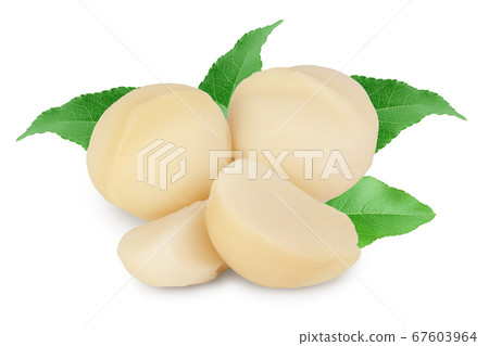 macadamia nuts isolated on white background with clipping path and full depth of field macadamia nuts isolated on white background with clipping path and full depth of field 67603964