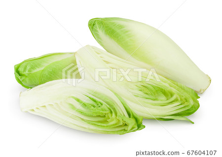 Chicory salad isolated on white background with clipping path and full depth of field. Chicory salad isolated on white background with clipping path and full depth of field. 67604107