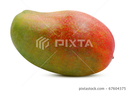 Mango fruit isolated on white background  67604375