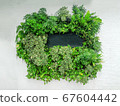Black Name tag in group of green plant 67604442