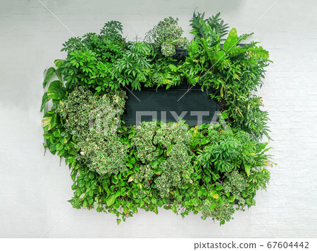 Black Name tag in group of green plant Black Name tag in group of green plant 67604442