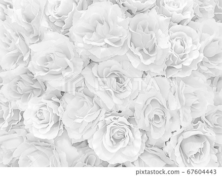 White mable with Rose flower pattern background White mable with Rose flower pattern background 67604443
