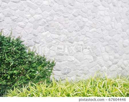 Gray brickwall background with green leaf Gray brickwall background with green leaf 67604446