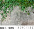 Gray brickwall background with green leaf 67604455