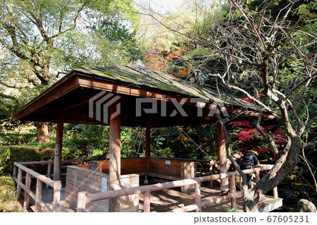 Denenchofu Seseragi Park Autumn Foliage Tokyo 67605231