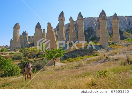 Valley of Love in Cappadocia, Turkey 67605330