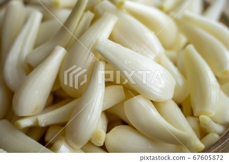 Rucksack pickles 67605872