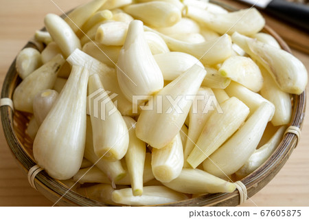 背包泡菜 背包泡菜 67605875