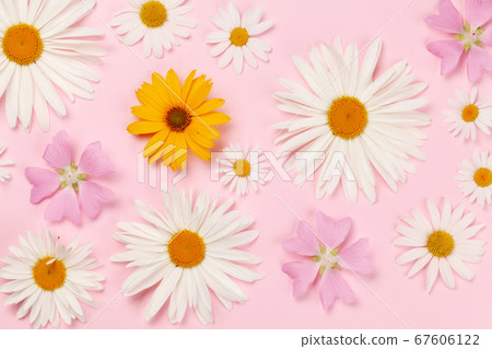 Garden flowers pattern Garden flowers pattern 67606122