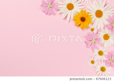 Garden flowers frame over pink Garden flowers frame over pink 67606123