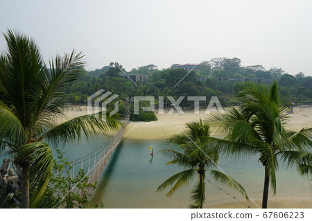 Singapore Sentosa Island 67606223