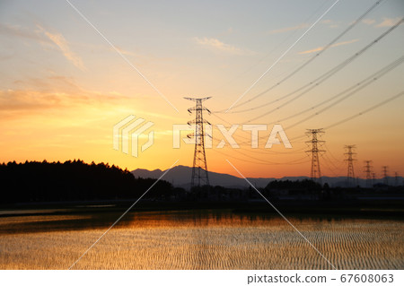 Paddy field and sunset, Haga-cho, Haga-gun, Tochigi Prefecture 67608063