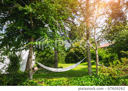 White hammock in a green garden White hammock in a green garden 67609262