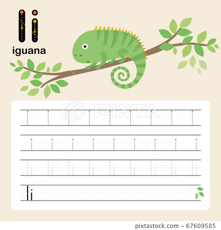 I, iguana, Alphabet tracing worksheet for preschool and kindergarten to improve basic writing skills, vector, illustration I, iguana, Alphabet tracing worksheet for preschool and kindergarten to improve basic writing skills, vector, illustration 67609585