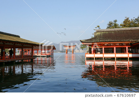 廣島縣秋季廿日市市宮島嚴島神社 廣島縣秋季廿日市市宮島嚴島神社 67610697