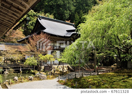 Togansuji Togansuji 67611328