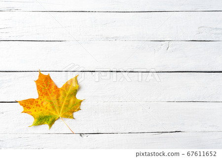 Colourful autumn leaf on white wooden table with copyspace. Top view Colourful autumn leaf on white wooden table with copyspace. Top view 67611652