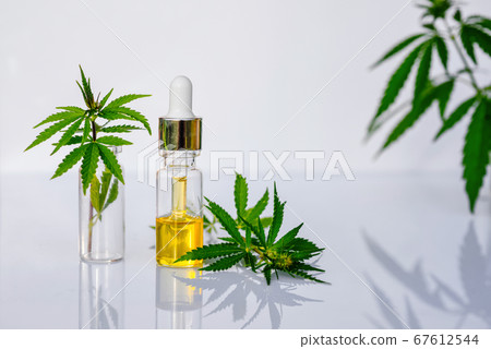 Glass bottle with CBD oil, THC tincture and hemp leaves on white background lab 67612544