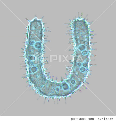 Alphabet made of virus isolated on gray background. Capital letter U. 3d rendering. Covid font 67613236
