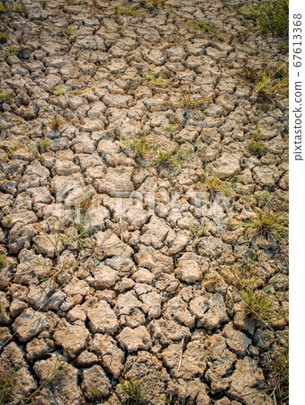 Cracked land background with grass, Drought Cracked land background with grass, Drought 67613368